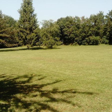 Domaine De L'Angeline Acomodação com café da manhã Bissey-sous-Cruchaud Exterior foto